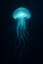 Digital Ocean From a Girl #DivaTransformation (#Side : Novael Hikarino)