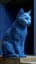 Blue in blue