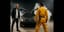 Jackie Chan  -Macher-