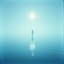Sous le clair de lune