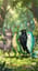 Cute Tail Song