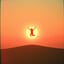 Run to Your Light
