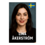 Dansar Hela Natten