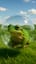 Frolic Frog