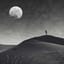 Les ombres dansent sous la lune blafarde