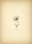 Antimatter