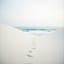 Песок и Следы | Sand and Footprints