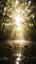 We Are The Poets Drowing In Sunlight
