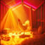 Cot Cot Disco Poule
