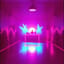 Club Mix by KaneReaktion