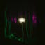 ↻𐑯𐑴 𐑣𐑳𐑜𐑟 T–T 𐑥𐑪𐑯𐑕𐑑𐑮𐑩𐑕 𐑮𐑧𐑠𐑰𐑥 [0]