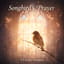 🎵 “Songbird’s Prayer” – V5 Echo Version