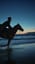 2026년 적토마 (赤兔马) 타고 🐴