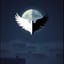 Odd Wings