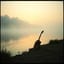 Riverbed dream