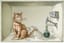 Schrödinger’s Cat