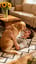 Me And Ben