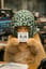 FM-424 DJ MORIMIOTO RADIO 第98回