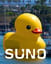 Veinte