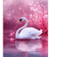 Любовь как Лебедь || Love is like a Swan