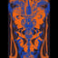 ダマシエ(optical illusion)