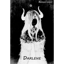 Darlene - Remastered