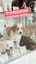 Puppy in the Glass Case ママに会いたい