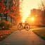 Un paseo en bicicleta