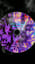 Schatten kreuzen Licht. x Saturday Sun (Mashup)