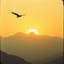 Pachamama Dreaming