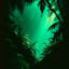 Jungle Music (Ambient)