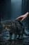Stray Animals