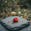 [🇫🇷] Petite Framboise 🟦⬜🟥