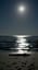 Moonlight Dip