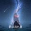 君は流れ星  #星シリーズ第2銀河