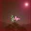 Pulsatile (take five extracting cover by DeeBeetttzz)