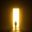 A fény ( The Light)