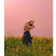 ไดโนเศร้า (Lonely Dinosuar)