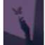 Candy-Coated Secret