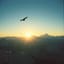 Vuelo del Espiritu