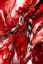 Red Days