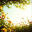 기울어진 정원의 햇살 (Sunlight in a Tilted Garden)