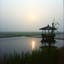 ทางน้ำพากลับบ้าน (The Water Leads Me Home)