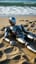 Strandmaschine