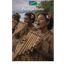 🇸🇧 159 • Solomon Islands • Folk