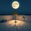 盡月 (Gone With The Moon)