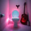 Rainbow Toilet