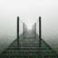 [BRIDGE]
