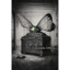 Cicada 3301