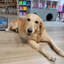 Paskong Pinoy-Po